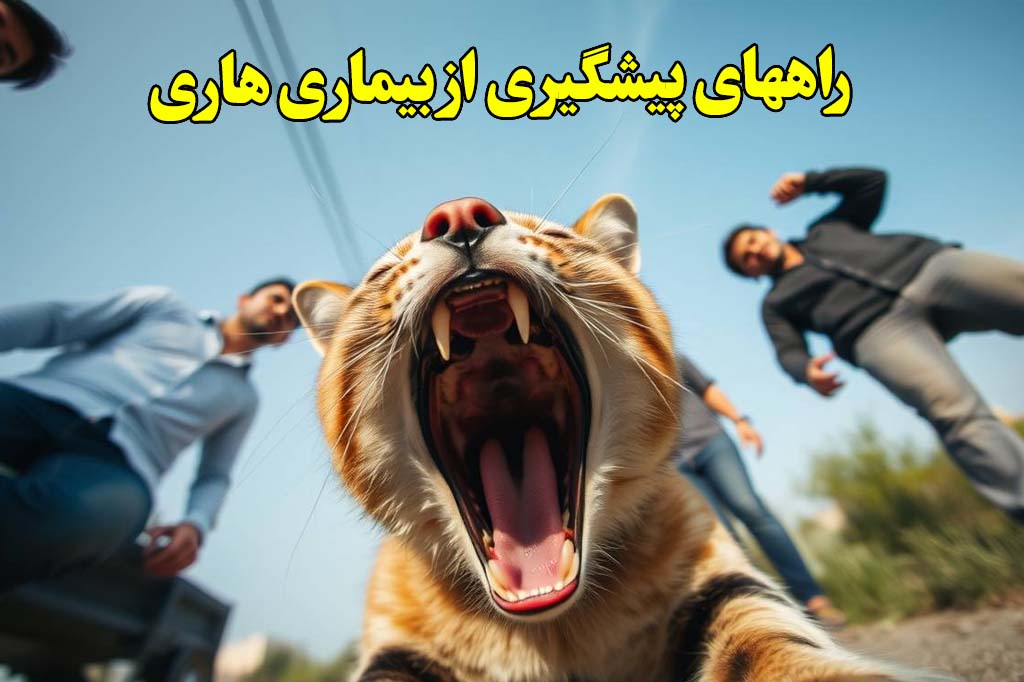 راههای پیشگیری از بیماری هاری