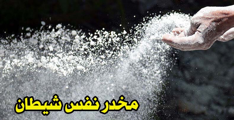 مخدر نفس شیطان چیست؟