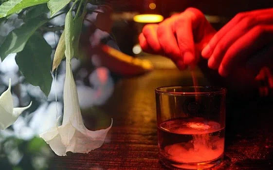 مخدر غورباقه در نوشیدنی