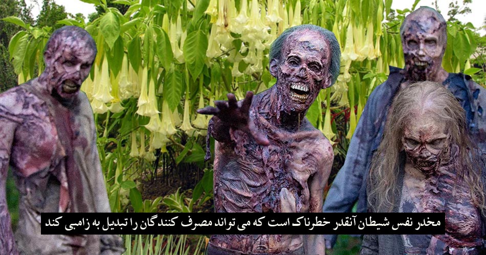 نفس شیطان و زامبی شدن