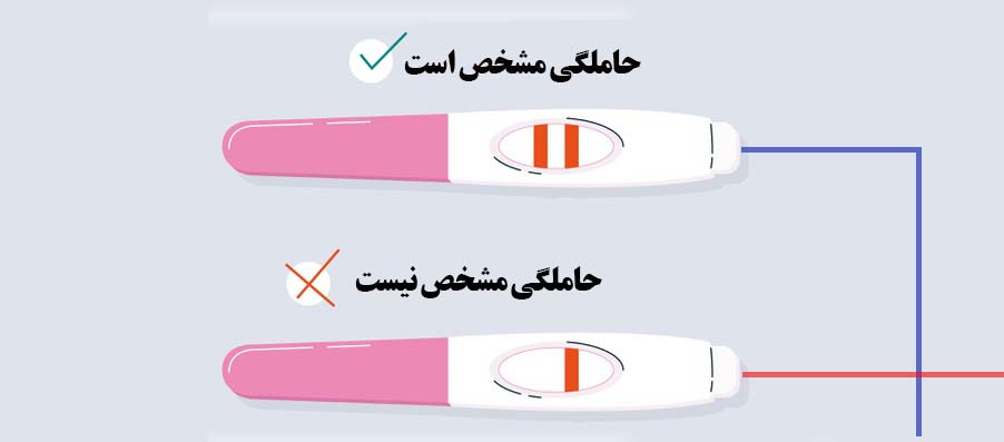 انجام بی بی چک