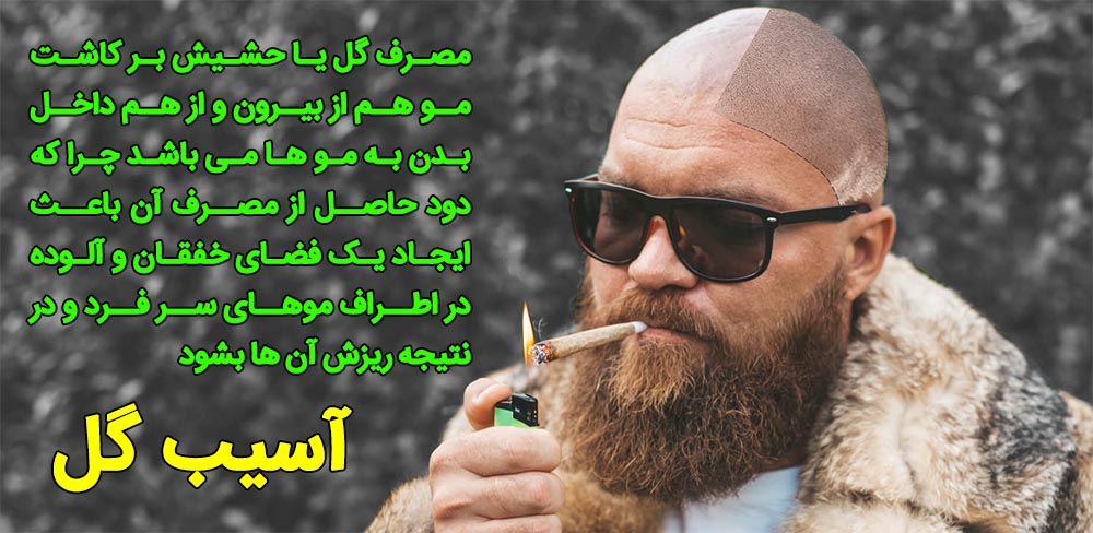 مصرف گل بعد از کاشت مو