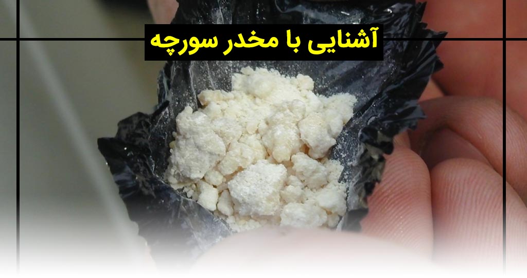 طرز مصرف سورچه