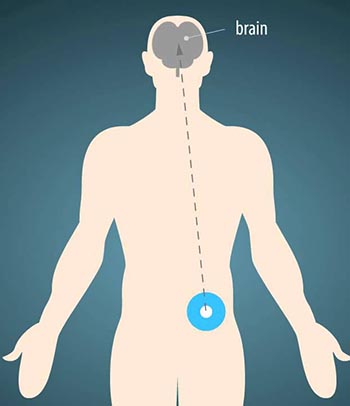 عملکرد نالتروکسان