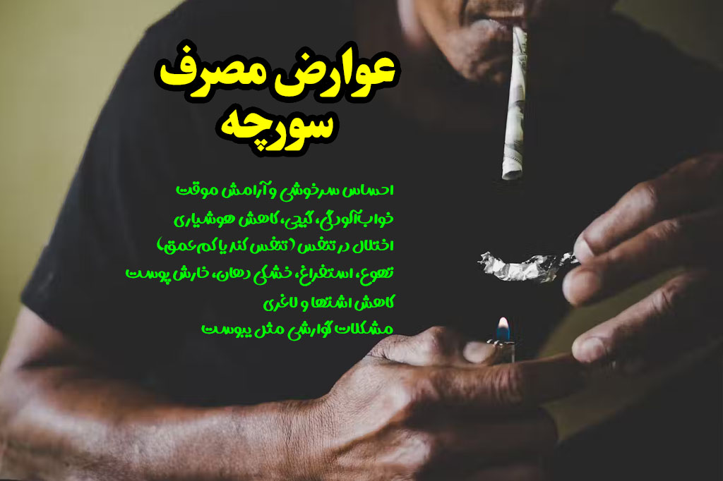 عوارض مصرف سورچه