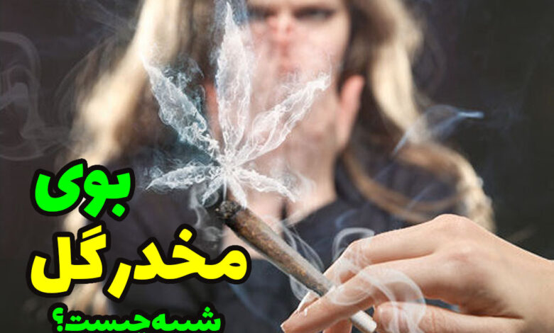 بوی مخدر گل شبیه چیست