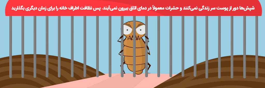 درمان شپش در خانه