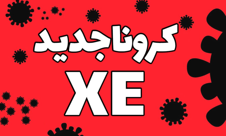 کرونا xe