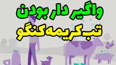 آیا تب کریمه کنگو واگیر دار است