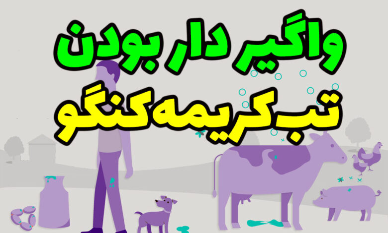 آیا تب کریمه کنگو واگیر دار است