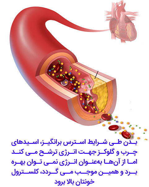 کلسترول و استرس