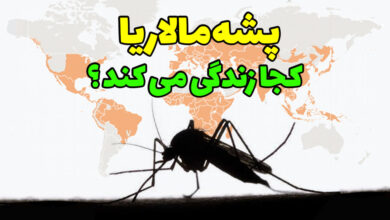 پشه مالاریا در کجا زندگی می کند ؟