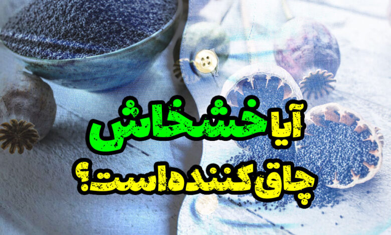 آیا خشخاش چاق کننده است