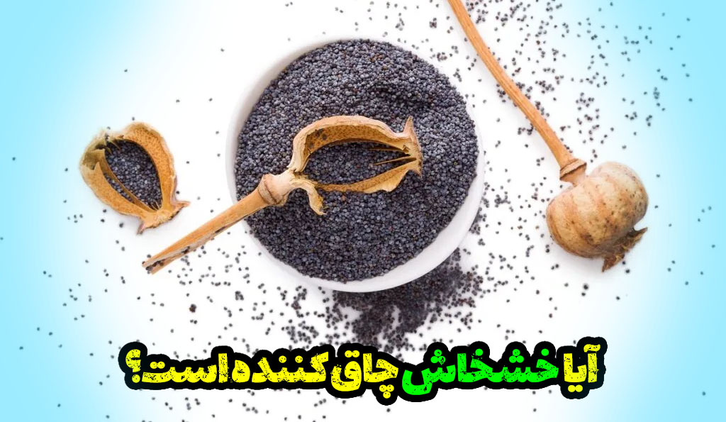 خشخاش باعث چاقی می شود