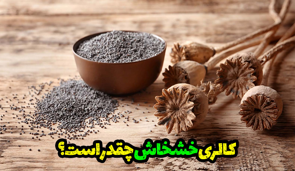 کالری خشخاش