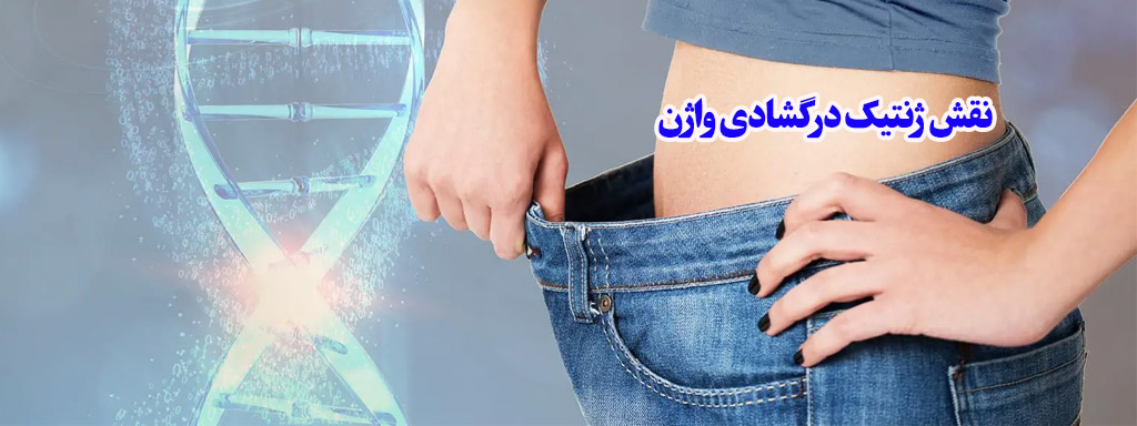 ژنتیک و گشادی وازن