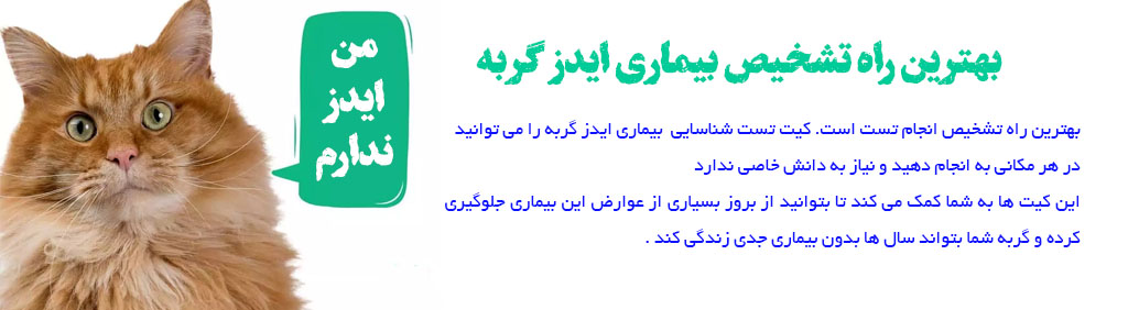 تشخیص ایدز گربه