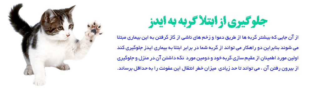 جلوگیری از ابتلا گربه به ایدز