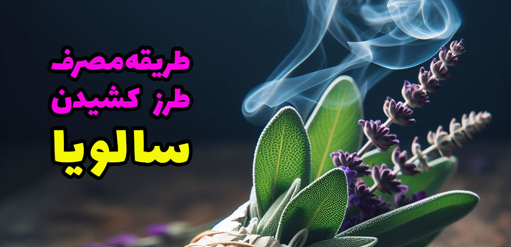 طریقه مصرف و طرز کشیدن سالویا