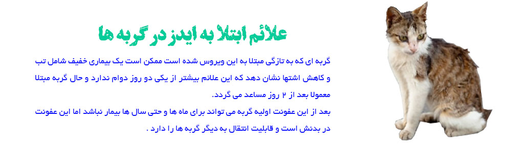 علائم بیماری ایدز گربه