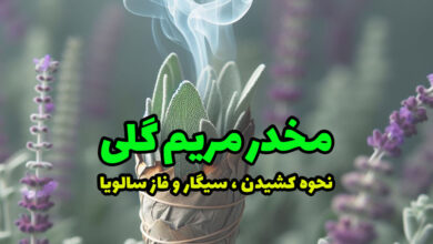 مخدر مریم گلی