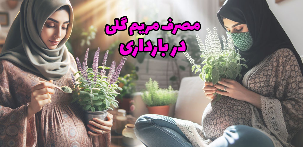 آیا خوردن مریم گلی در دوران بارداری مجاز است؟