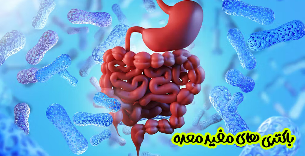 درمان کمبود باکتری های مفید معده
