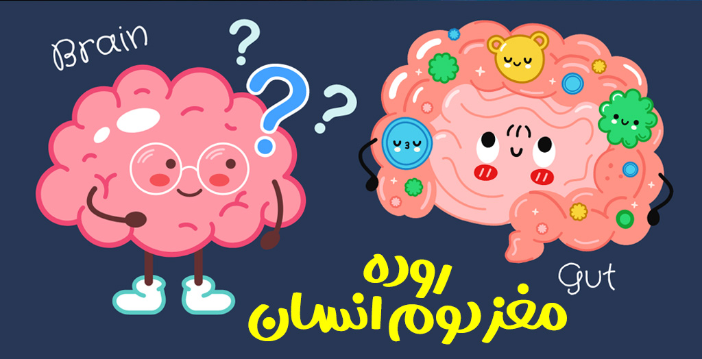 روده مغز دوم آدم