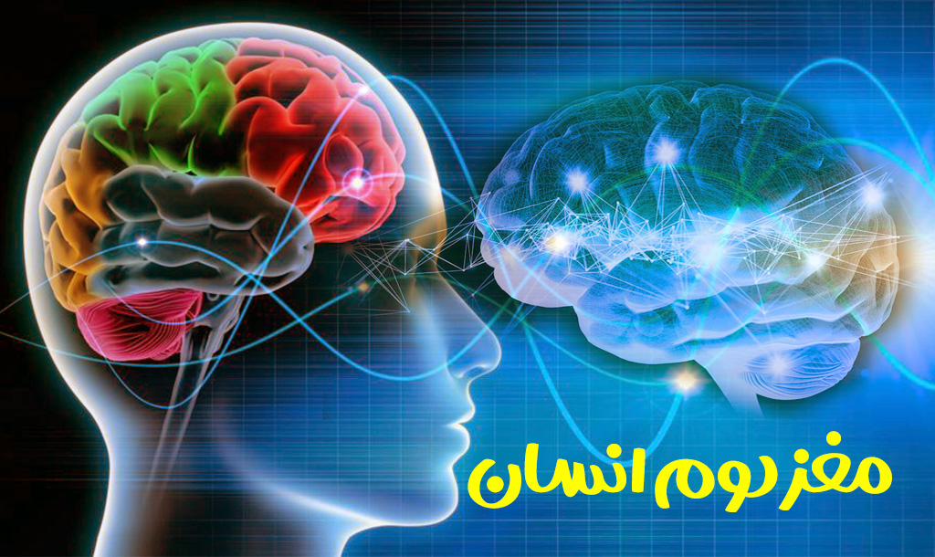 مغز دوم انسان روده