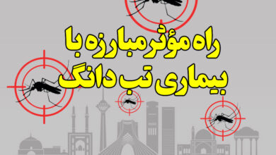راه مؤثر مبارزه با بیماری تب دانگ