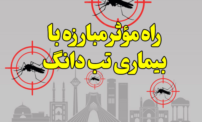 راه مؤثر مبارزه با بیماری تب دانگ