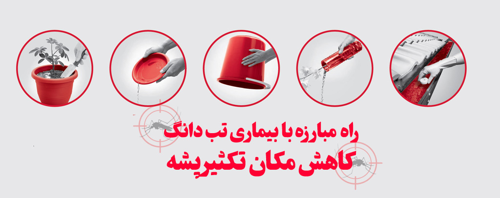 کاهش محل تکثیر پشه دانگی