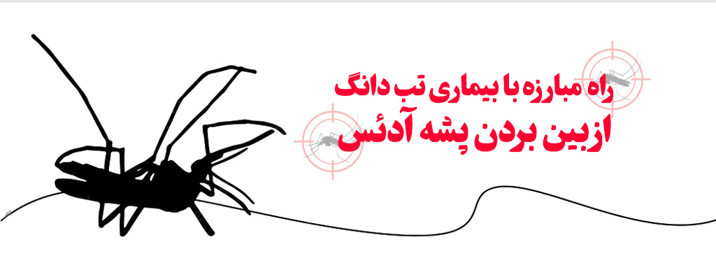راه های مؤثر مبارزه با بیماری تب دانگی