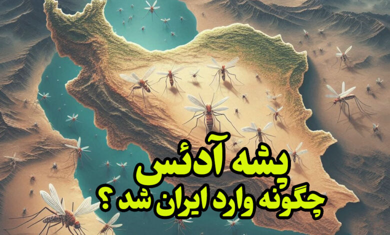 پشه آدئس چگونه وارد ایران شد