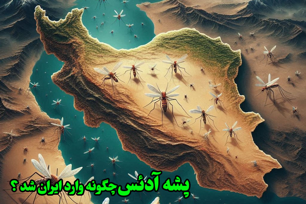 پشه ادئس چگونه وارد ایران شد