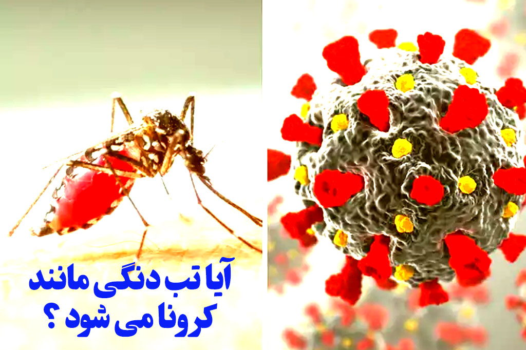 کرونا و تب دنگی