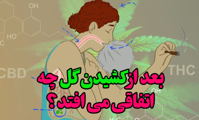 بعد از کشیدن گل چه اتفاقی می افتد