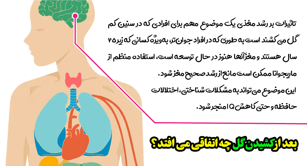 تاثیر مصرف گل بر بدن نوجوانان