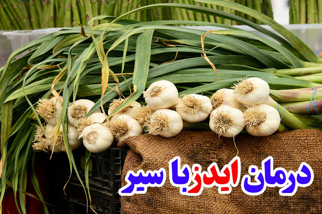 درمان ایدز با سیر طب سنتی