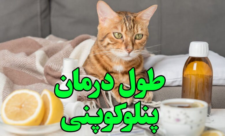 طول درمان پنلوکوپنی