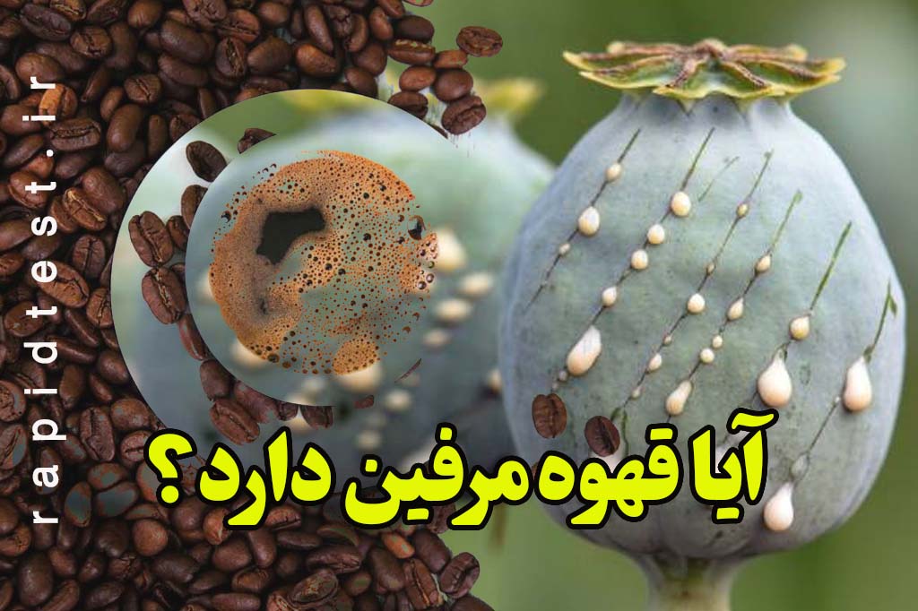 ایا قهوه مرفین دارد