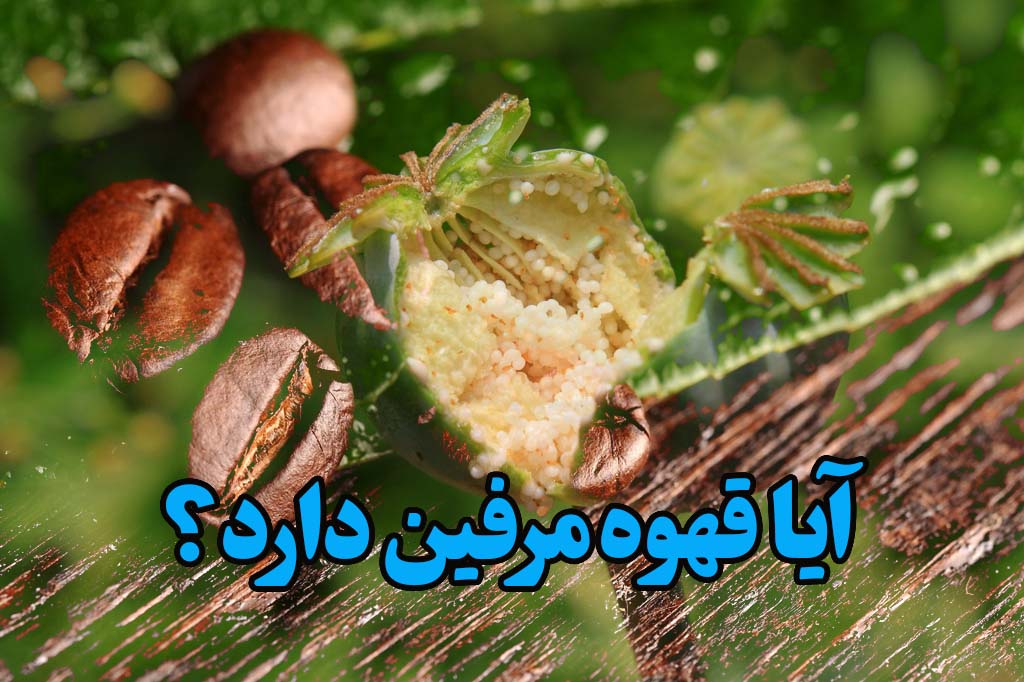 قهوه حاوی مرفین