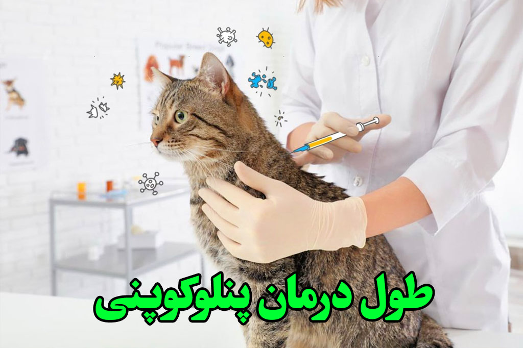 مدت زمان درمان پنلوکوپنی