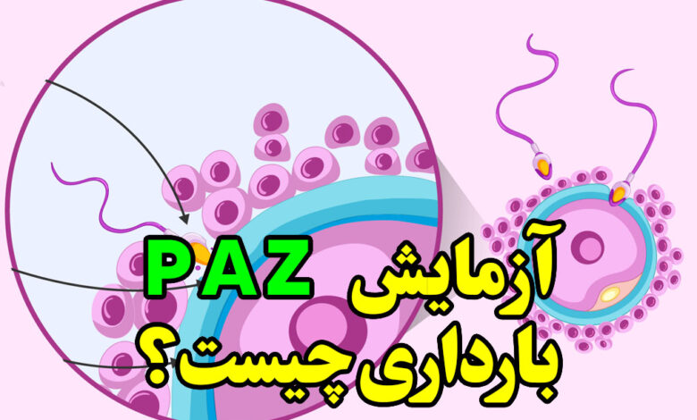 آزمایش paz بارداری