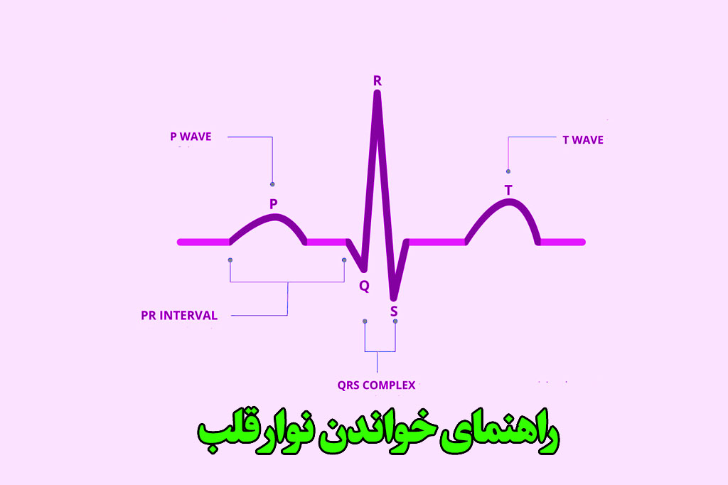 اجزا ekgنوار قلب چیست