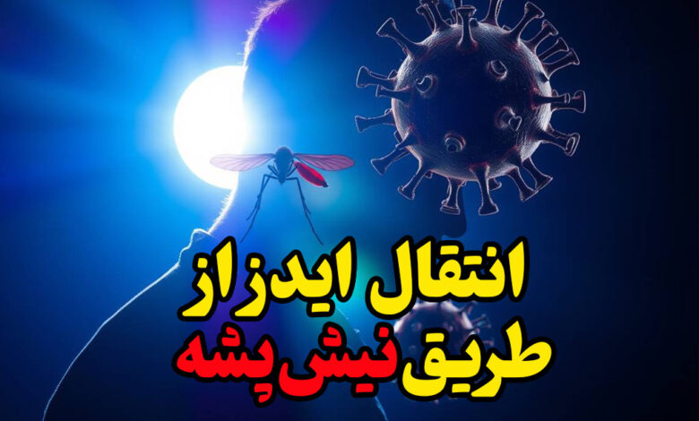 انتقال ایدز از طریق پشه