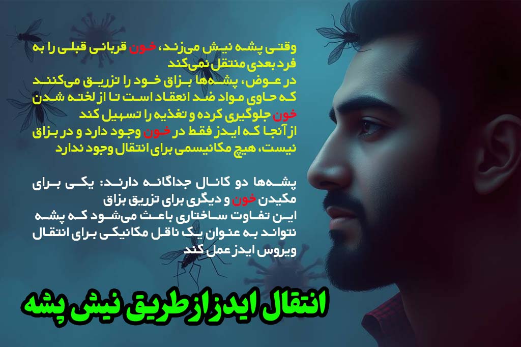 انتقال ایدز از نیش پشه