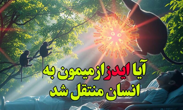ایدز از میمون به انسان منتقل شد