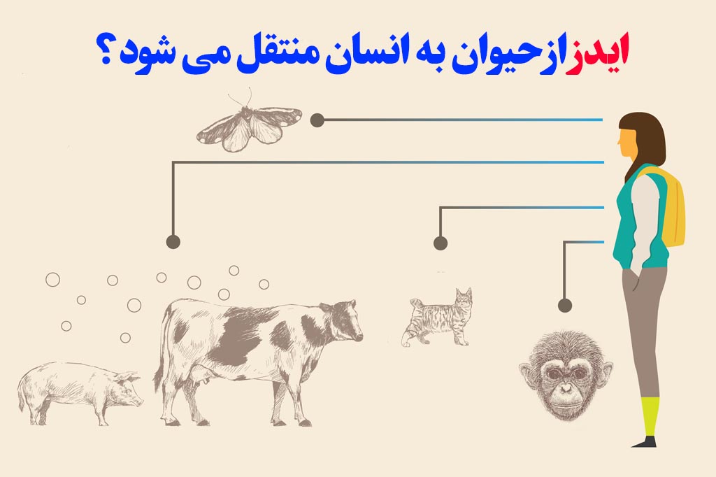 hiv از حیوان به انسان انتقال