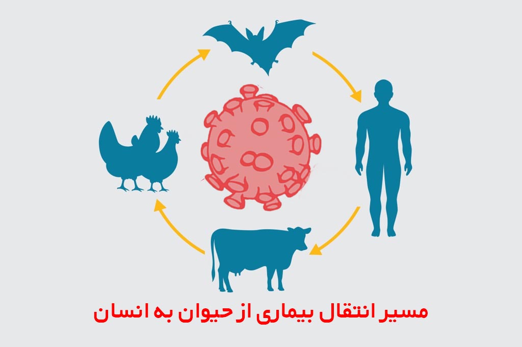 انتقال بیماری ایدز از حیوان به انسان